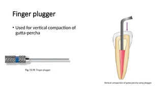 Finger plugger
• Used for vertical compaction of
gutta-percha
 