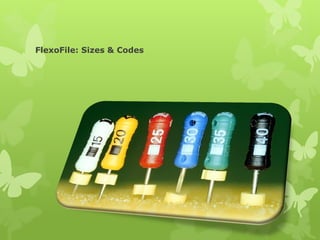 FlexoFile: Sizes & Codes
 
