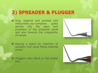  long, tapered and pointed end
instrument, -compress gutta
percha into the apex and
periphery of the prepared canal
and also towards the irregularity
of canals
 leaving a space for insertion of
auxiliary root canal filling material
cones.
 Pluggers have blunt or flat ended
tips.
 