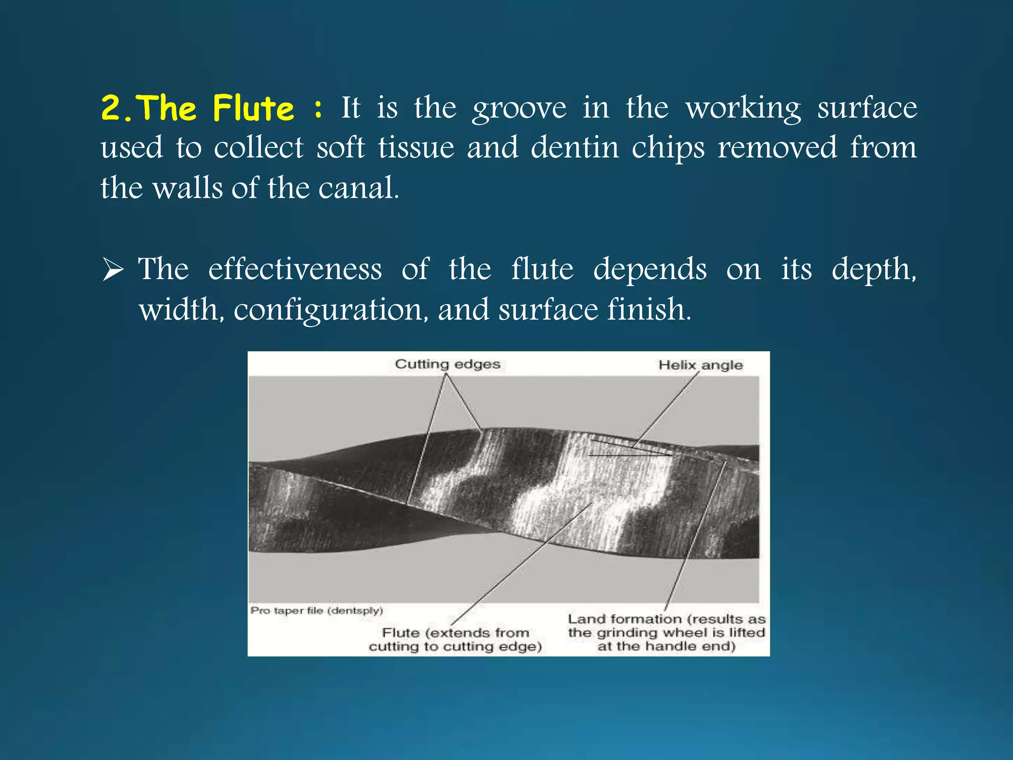 2.The Flute : It is the groove in the working surface
used to collect soft tissue and dentin chips removed from
the walls of the canal.
 The effectiveness of the flute depends on its depth,
width, configuration, and surface finish.
 