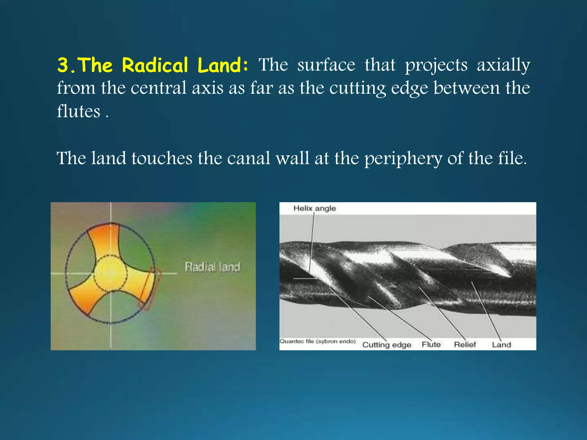 3.The Radical Land: The surface that projects axially
from the central axis as far as the cutting edge between the
flutes .
The land touches the canal wall at the periphery of the file.
 