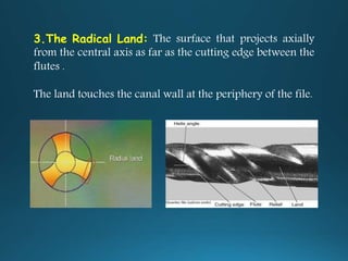 3.The Radical Land: The surface that projects axially
from the central axis as far as the cutting edge between the
flutes .
The land touches the canal wall at the periphery of the file.
 