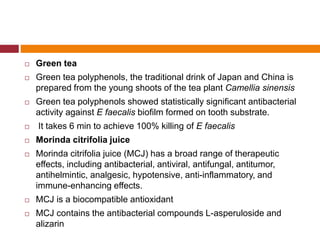  Green tea
 Green tea polyphenols, the traditional drink of Japan and China is
prepared from the young shoots of the tea plant Camellia sinensis
 Green tea polyphenols showed statistically significant antibacterial
activity against E faecalis biofilm formed on tooth substrate.
 It takes 6 min to achieve 100% killing of E faecalis
 Morinda citrifolia juice
 Morinda citrifolia juice (MCJ) has a broad range of therapeutic
effects, including antibacterial, antiviral, antifungal, antitumor,
antihelmintic, analgesic, hypotensive, anti-inflammatory, and
immune-enhancing effects.
 MCJ is a biocompatible antioxidant
 MCJ contains the antibacterial compounds L-asperuloside and
alizarin
 