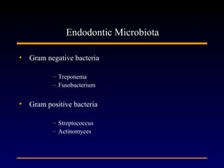 Endodontic Microbiota

• Gram negative bacteria

          – Treponema
          – Fusobacterium

• Gram positive bacteria

          – Streptococcus
          – Actinomyces
 