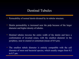 Dentinal Tubules

• Permeability of normal dentin dictated by its tubular structure.


• Dentin permeability is increased near the pulp because of the larger
  diameter and higher density of tubules.


• Dentinal tubules traverse the entire width of the dentin and have a
  conformation of inverted cones, with the smallest diameter in the
  periphery, near to enamel or cementum (mean of 0.9 μm).


• The smallest tubule diameter is entirely compatible with the cell
  diameter of most oral bacterial species, which usually ranges from 0.2
  to 0.7 μm.
 