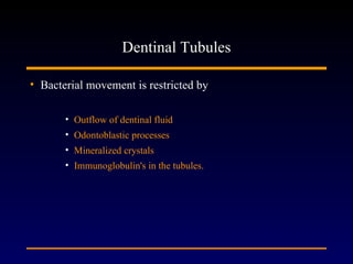 Dentinal Tubules

• Bacterial movement is restricted by

       • Outflow of dentinal fluid
       • Odontoblastic processes
       • Mineralized crystals
       • Immunoglobulin's in the tubules.
 