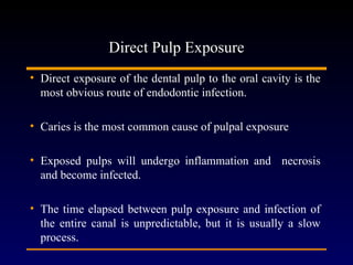 Direct Pulp Exposure
• Direct exposure of the dental pulp to the oral cavity is the
  most obvious route of endodontic infection.

• Caries is the most common cause of pulpal exposure

• Exposed pulps will undergo inflammation and necrosis
  and become infected.

• The time elapsed between pulp exposure and infection of
  the entire canal is unpredictable, but it is usually a slow
  process.
 