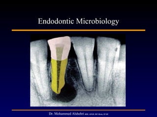 Endodontic Microbiology




   Dr. Mohammed Alshehri BDS, AEGD, SSC-Resto, SF-DI
 