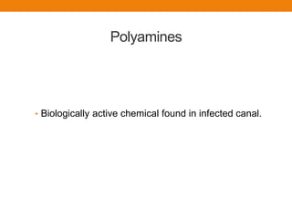 Polyamines
• Biologically active chemical found in infected canal.
 