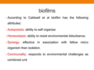 biofilms
• According to Caldwell et al biofilm has the following
attributes:
• Autopoiesis: ability to self organize
• Homeostasis: ability to resist environmental disturbance.
• Synergy: effective in association with fellow micro
organism than isolation.
• Communality: responds to environmental challenges as
combined unit
 