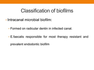 Classification of biofilms
• Intracanal microbial biofilm:
• Formed on radicular dentin in infected canal.
• E.faecalis responsible for most therapy resistant and
prevalent endodontic biofilm
 