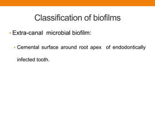 Classification of biofilms
• Extra-canal microbial biofilm:
• Cemental surface around root apex of endodontically
infected tooth.
 