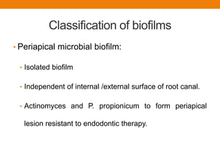 Classification of biofilms
• Periapical microbial biofilm:
• Isolated biofilm
• Independent of internal /external surface of root canal.
• Actinomyces and P. propionicum to form periapical
lesion resistant to endodontic therapy.
 