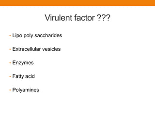 Virulent factor ???
• Lipo poly saccharides
• Extracellular vesicles
• Enzymes
• Fatty acid
• Polyamines
 