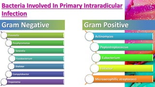 Bacteria Involved In Primary Intraradicular
Infection
Gram Negative Gram Positive
Prevotella
Porphyromonas
Tanerella
Fusobacterium
Dialister
Campylobactor
Treponema
Actinomyces
Peptostreptococcus
Eubacterium
Filifactor
Microaerophillic streptococci
 