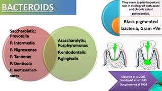 Saccharolytic;
Prevotella
P. Intermedia
P. Nigrescense
P. Tannerae
P. Denticola
P. multissachari-
vorax
Asaccharolytic;
Porphyromonas
P.endodontalis
P.gingivalis
BACTEROIDS
They seem to play important
role in etiology of both acute
and chronic apical
periodontitis.
Black pigmented
bacteria, Gram +Ve
Siqueira et al 2001
Sundqvist et al 1989
Dougherty et al 1998
 