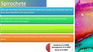 Spirochete
Although spirochetes have been frequently observed in samples by microscopy, they had
never been identified to the species level.
The application of molecular diagnosis to identification of spiral bacteria has been
overlooked the culture techniques.
They can be classified in 2 group; Saccharolytic and Asaccharolytic.
T. Denticola, T. Sokranskii have been detected in both symptomatic and asymptomatic
lesion.
Dewhirst et al 2000
Baumgartner et al 2007
Rocas et al 2003
 