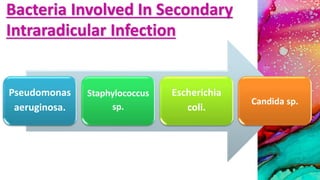 Bacteria Involved In Secondary
Intraradicular Infection
Pseudomonas
aeruginosa.
Staphylococcus
sp.
Escherichia
coli.
Candida sp.
 