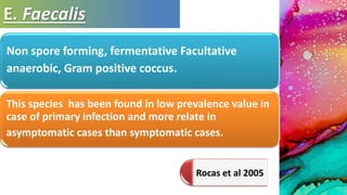 E. Faecalis
Non spore forming, fermentative Facultative
anaerobic, Gram positive coccus.
This species has been found in low prevalence value in
case of primary infection and more relate in
asymptomatic cases than symptomatic cases.
Rocas et al 2005
 