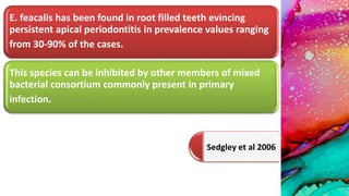 E. feacalis has been found in root filled teeth evincing
persistent apical periodontitis in prevalence values ranging
from 30-90% of the cases.
This species can be inhibited by other members of mixed
bacterial consortium commonly present in primary
infection.
Sedgley et al 2006
 