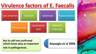 Virulence factors of E. Faecalis
But its still not confirmed
which factor play an important
role in pathogenesis.
Kayaoglu et al 2004
Lytic enzymes Cytolysin Gelatinase Hyaluronidase
Pheromones
Lipoteichoic
acid
Adhesion
molecules
 