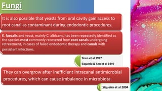 Fungi
It is also possible that yeasts from oral cavity gain access to
root canal as contaminant during endodontic procedures.
Siren et al 1997
Siqueria & Sen et al 1997
They can overgrow after inefficient intracanal antimicrobial
procedures, which can cause imbalance in microbiota.
Siqueira et al 2004
E. faecalis and yeast, mainly C. albicans, has been repeatedly identified as
the species most commonly recovered from root canals undergoing
retreatment, in cases of failed endodontic therapy and canals with
persistent infections.
 