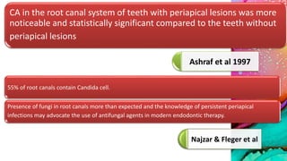 Ashraf et al 1997
Najzar & Fleger et al
CA in the root canal system of teeth with periapical lesions was more
noticeable and statistically significant compared to the teeth without
periapical lesions
55% of root canals contain Candida cell.
Presence of fungi in root canals more than expected and the knowledge of persistent periapical
infections may advocate the use of antifungal agents in modern endodontic therapy.
 