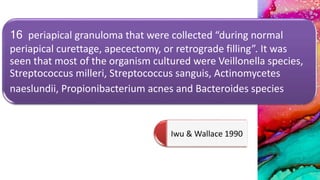 16 periapical granuloma that were collected “during normal
periapical curettage, apecectomy, or retrograde filling”. It was
seen that most of the organism cultured were Veillonella species,
Streptococcus milleri, Streptococcus sanguis, Actinomycetes
naeslundii, Propionibacterium acnes and Bacteroides species
Iwu & Wallace 1990
 