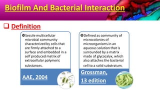 Biofilm And Bacterial Interaction
Sessile multicellular
microbial community
characterized by cells that
are firmly attached to a
surface and embedded in a
self produced matrix of
extracellular polymeric
substances.
AAE, 2004
Defined as community of
microcolonies of
microorganisms in an
aqueous solution that is
surrounded by a matrix
made of glycocalyx, which
also attaches the bacterial
cell to a solid substratum.
Grossman,
13 edition
 Definition
 