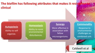 Autopoiesis
Ability to self
organize.
Homeostasis
Ability to resist
environmental
disturbances.
Synergy
More effective in
association with
fellow
microorganisms.
Communality
Response to
environmental
challenges as
combined unit.
Caldwell et al
The biofilm has following attributes that makes it resistance to
clinical
 