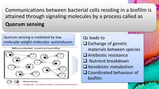 Communications between bacterial cells residing in a biofilm is
attained through signaling molecules by a process called as
Quorum sensing
Quorum sensing is mediated by low
molecular weight molecules- autoinducers
Qs leads to
Exchange of genetic
materials between species
Antibiotic resistance
 Nutrient breakdown
Xenobiotic metabolism
Coordinated behaviour of
biofilm
 