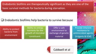 Endodontic biofilms are therapeutically significant as they are one of the
basic survival methods for bacteria during starvation.
 Endodontic biofilms help bacteria to survive because
Ability to protect
bacteria from
environment
Ability to entrap
nutrients for the
growth of microbial
constituent.
Offer a safe
environment to
exchange of genetic
material
Provide inherent
resistance to
antimicrobial agents
(irrigants & ICM)
Caldwell et al
 