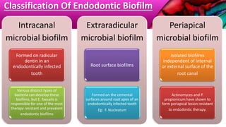 Classification Of Endodontic Biofilm
Intracanal
microbial biofilm
Formed on radicular
dentin in an
endodontically infected
tooth
Various distinct types of
bacteria can develop these
biofilms, but E. faecalis is
responsible for one of the most
therapy resistant and prevalent
endodontic biofilms
Extraradicular
microbial biofilm
Root surface biofilms
Formed on the cemental
surfaces around root apex of an
endodontically infected tooth
Eg: F. Nucleatum
Periapical
microbial biofilm
Isolated biofilms
independent of internal
or external surface of the
root canal
Actinomyces and P.
propionicum have shown to
form periapical lesion resistant
to endodontic therapy.
 