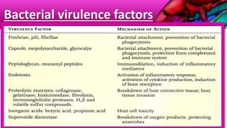Bacterial virulence factors
 