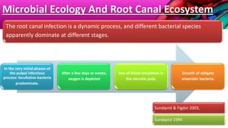 Microbial Ecology And Root Canal Ecosystem
In the very initial phases of
the pulpal infectious
process: facultative bacteria
predominate.
After a few days or weeks,
oxygen is depleted
loss of blood circulation in
the necrotic pulp.
Growth of obligate
anaerobic bacteria.
The root canal infection is a dynamic process, and different bacterial species
apparently dominate at different stages.
Sundqvist & Figdor 2003,
Sundqvist 1994
 