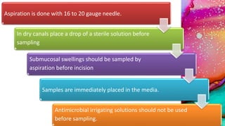 Aspiration is done with 16 to 20 gauge needle.
In dry canals place a drop of a sterile solution before
sampling
Submucosal swellings should be sampled by
aspiration before incision
Samples are immediately placed in the media.
Antimicrobial irrigating solutions should not be used
before sampling.
 
