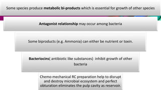 Some species produce metabolic bi-products which is essential for growth of other species
Antagonist relationship may occur among bacteria
Some biproducts (e.g. Ammonia) can either be nutrient or toxin.
Bacteriocins( antibiotic like substances) inhibit growth of other
bacteria
Chemo mechanical RC preparation help to disrupt
and destroy microbial ecosystem and perfect
obturation eliminates the pulp cavity as reservoir.
 