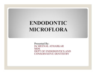 ENDODONTIC
MICROFLORA
Presented By:
Dr MEENAL ATHARKAR
MDS
DEPT OF ENDODONTICS AND
CONSERVATIVE DENTISTRY
 