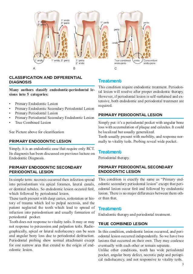 EndodonticPeriodontal Relationship Brief Lecture