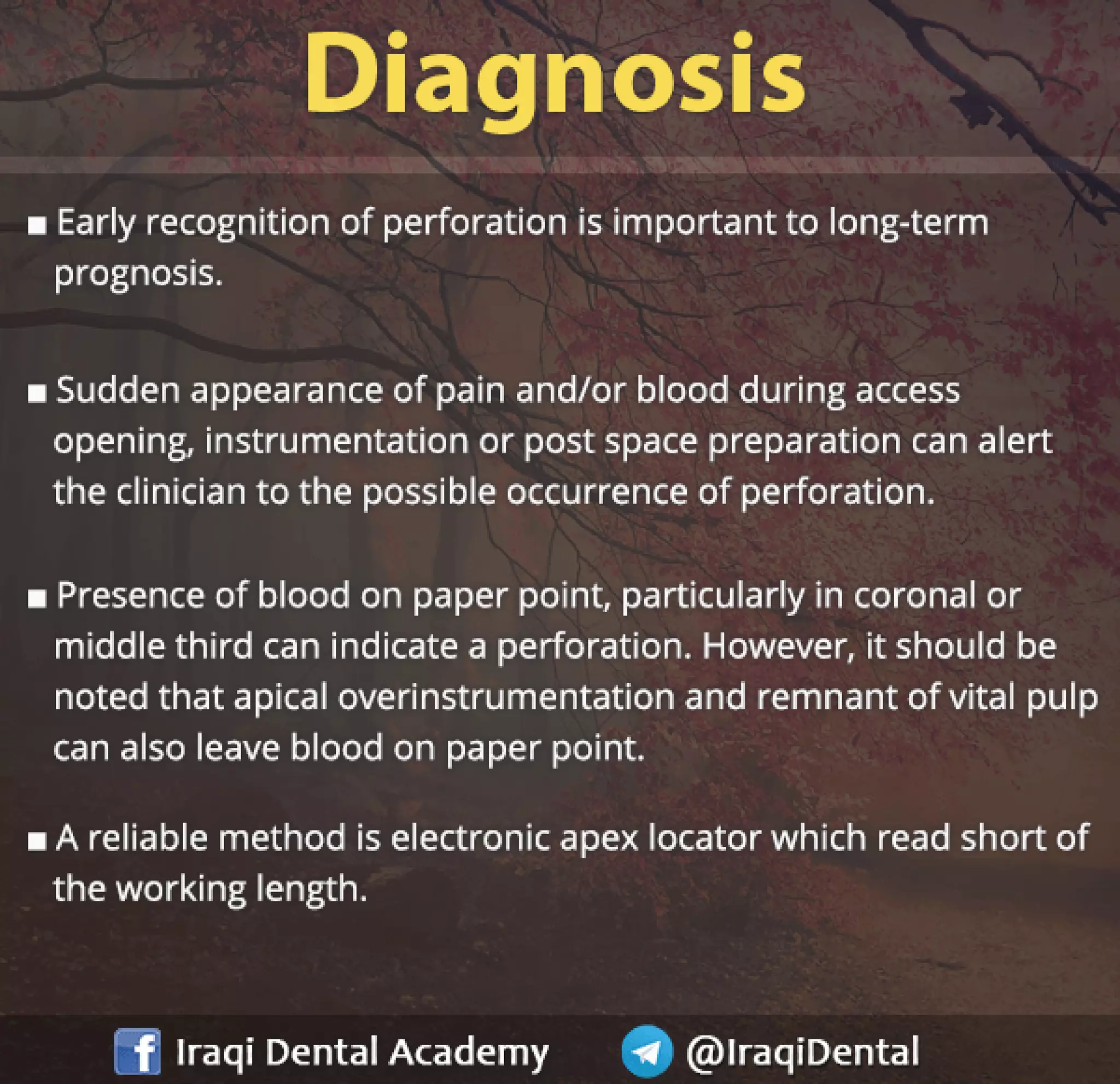 Endodontic Root Perforation: Causes, Identification, and Management Presentation