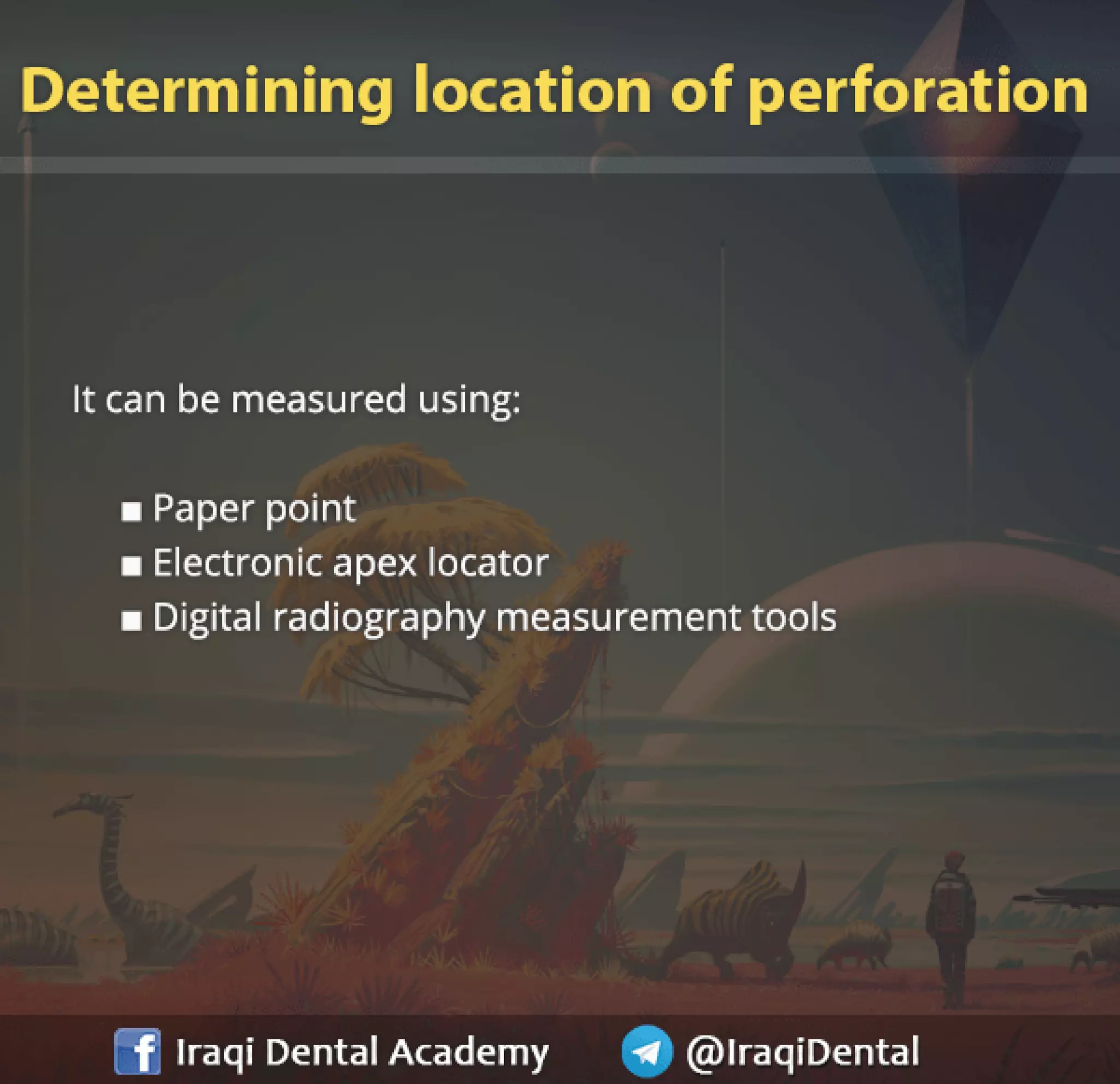 Endodontic Root Perforation: Causes, Identification, and Management Presentation
