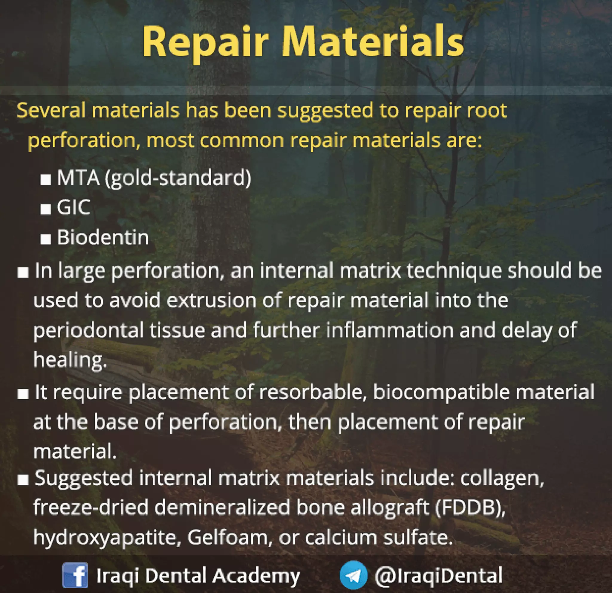 Endodontic Root Perforation: Causes, Identification, and Management Presentation