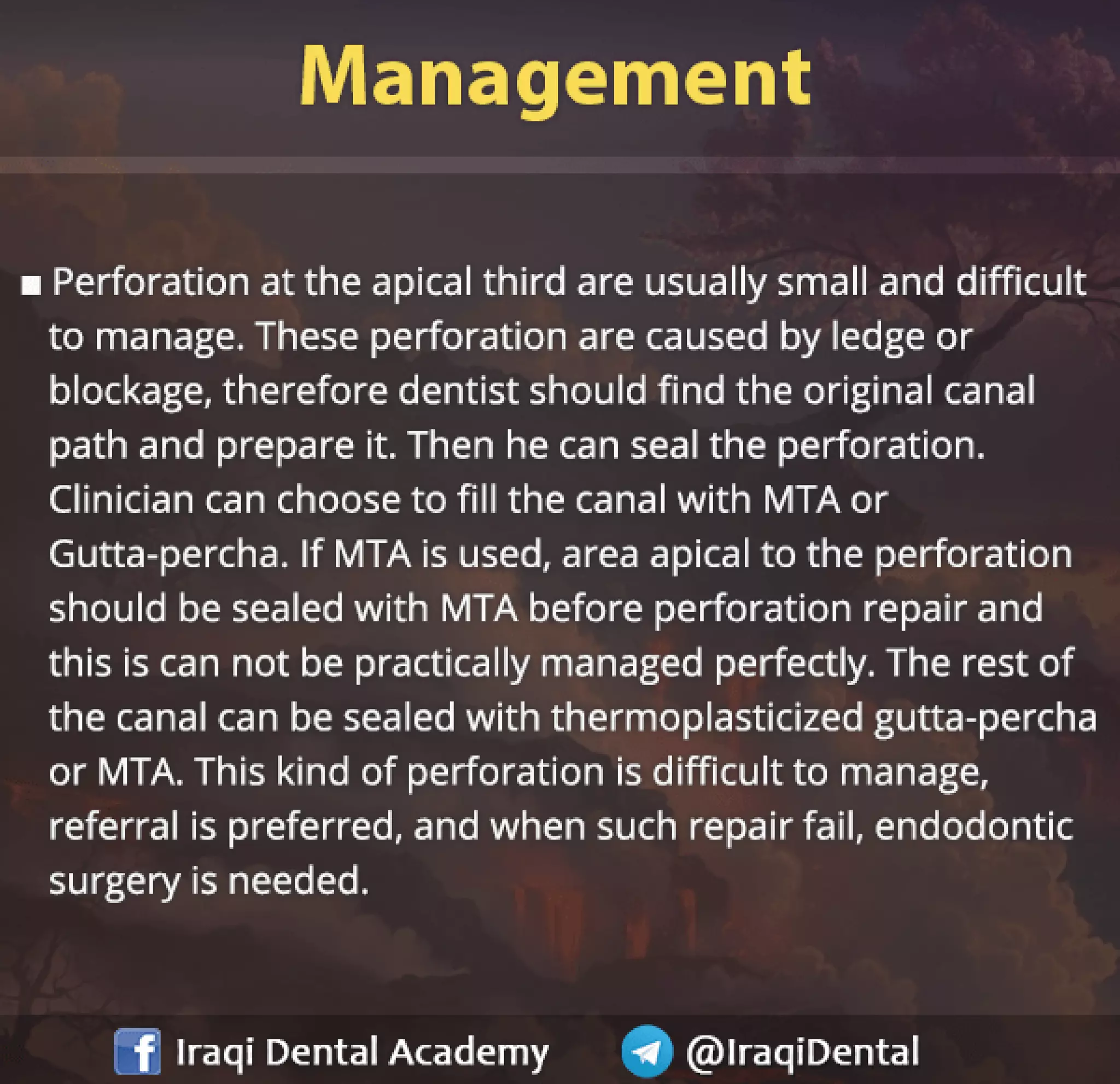 Endodontic Root Perforation: Causes, Identification, and Management Presentation