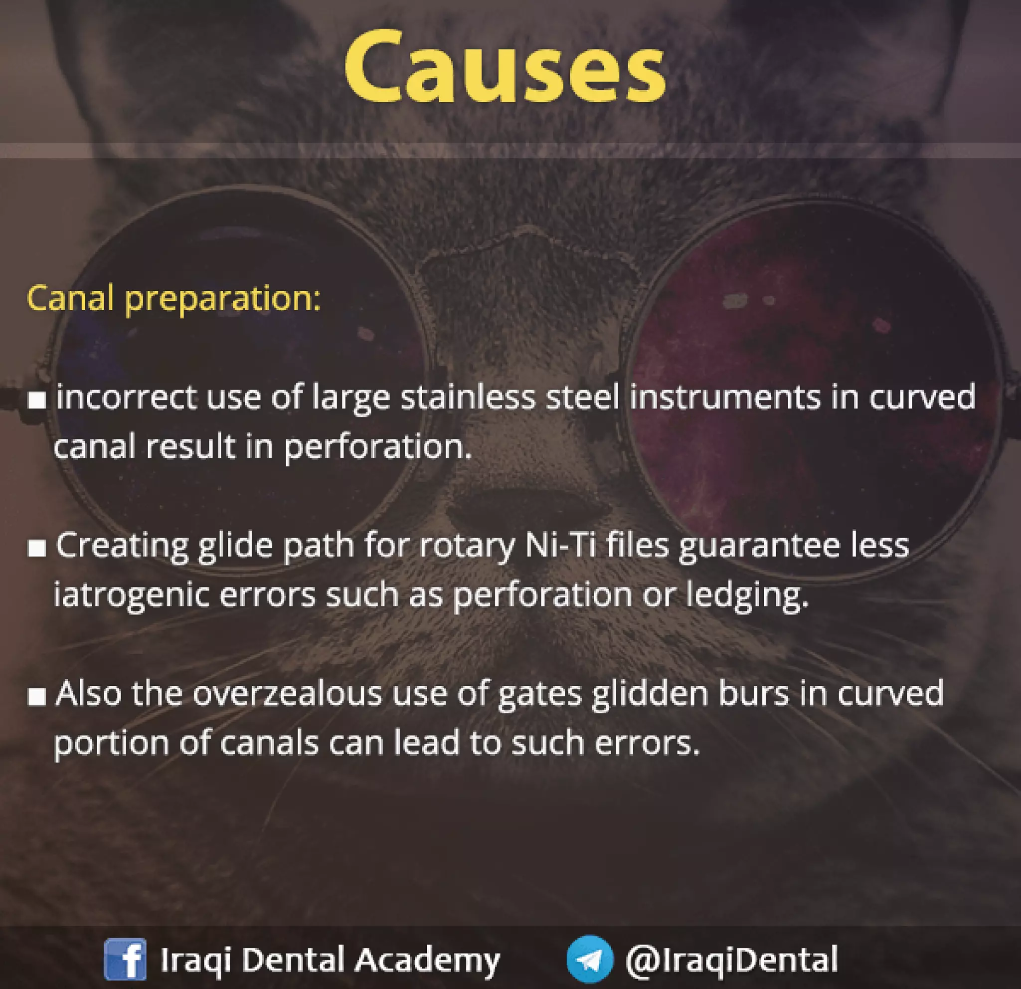Endodontic Root Perforation: Causes, Identification, and Management Presentation