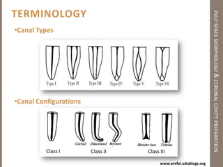 DAGNOSIS AND TREATMENT OF DENTAL PAIN