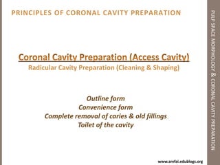 OBTURATION OF THE RADICULAR SPACE