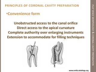 RESTORATION OF THE ENDODONTICALLY TREATED TEETHEndodonticsSources & ResourcesSources & References:Techinical Endodontics’ Professor Dr. HossamTawfik‘Practical Endodontics’ Walton & TorbindejadWebsite:www.arefai.edublogs.org