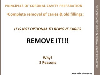 Pulp Space Morphology & Coronal Cavity Preparation