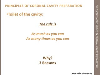 Terminologypulp space morphology & coronal cavity preparation‘تعالو الى كلمة سواء بينانا و بينكم‘Pulp space ‘Cavity’