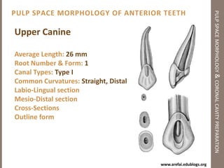 Percentage (17%-46%)